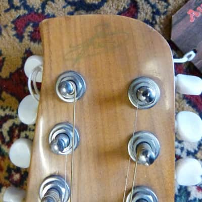 Giannini Craviola 12 String Electro Acoustic Guitar image 8