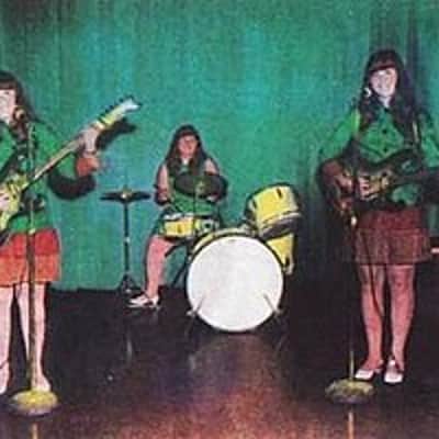 Video Demo 1967 Avalon AV-2 Shaggs Double Pickup Bass Guitar Pro Setup Original Hard Shell Case image 14