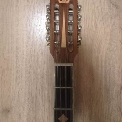 Greek Bouzouki & hardcase & pickup & 300 backing track with pdf scores 8 string image 4