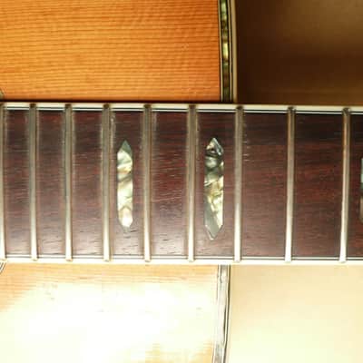 Morris W40 Brazilian Rosewood Jacaranda 1970's Natural Terada image 19