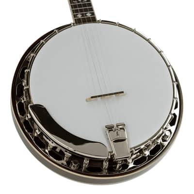 Immagine Recording King Tone Sonster Resonator Banjo - 3