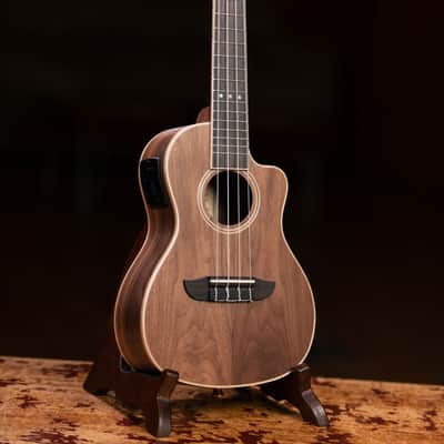 Ortega RUWN-CE Horizon Series Walnut Top Okoume Neck Concert Acoustic-Electric Ukulele w/Gig Bag image 16