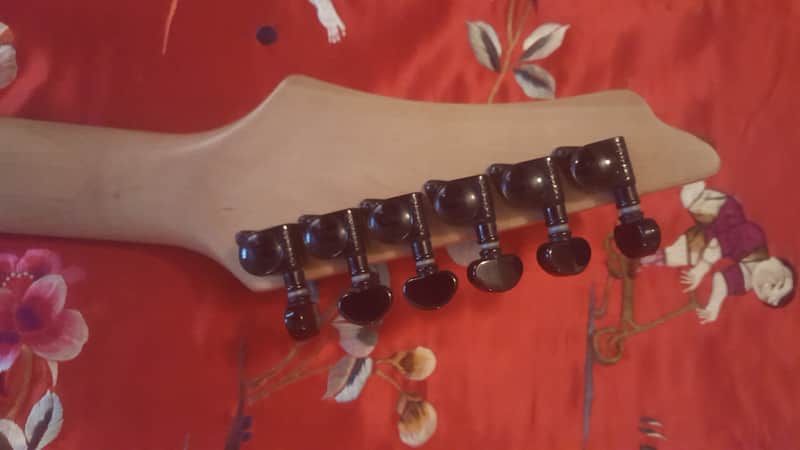 Washburn WG208 USA Design Chicago Series | Reverb