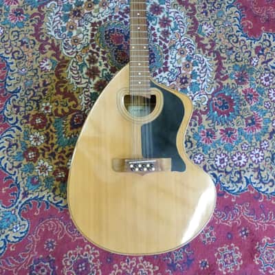 Giannini Craviola 12 String Electro Acoustic Guitar image 1