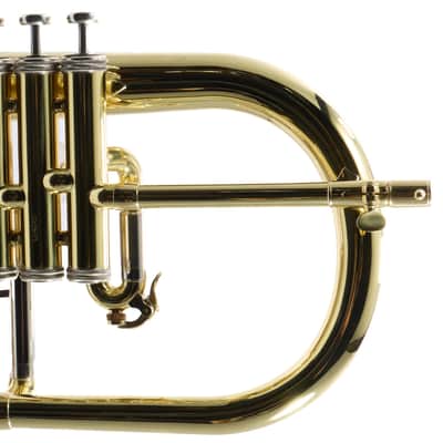 S.E. Shires Model Q19 Q-Series Professional Flugelhorn BRAND NEW image 10