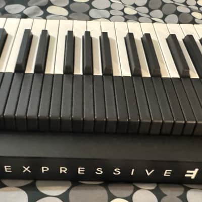 Expressive E Osmose 49-Key 24-Voice Polyphonic Synthesizer (pristine, including cloth cover) image 11