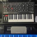 Moog Grandmother Dark 32-Key Semi-Modular Analog Synthesizer 2020 - Present - Black / Black Panel