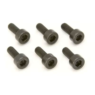 Genuine Floyd Rose Original Saddle Mounting Screws Screws (6) Black