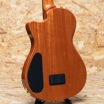 Cordoba Stage Guitar TRADITIONAL CD image 2