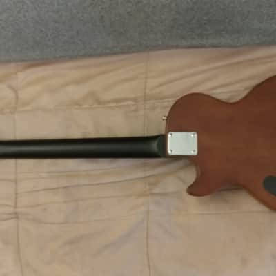 A Very Special 2021 Custom Built Epiphone Les Paul Special VE Not Just Any Epi Les Paul! image 15