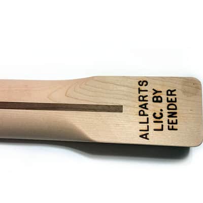Allparts TMO-FAT Tele Style Maple / Maple Neck Fat C Shape image 5