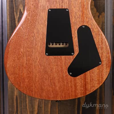 Immagine PRS Wood Library Custom 24 Lefty River Blue - 10