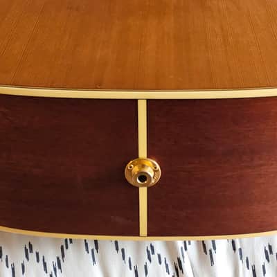 Takamine EAN10C Pro Series Electric Acoustic Dreadnought w/HSC - Satin image 10