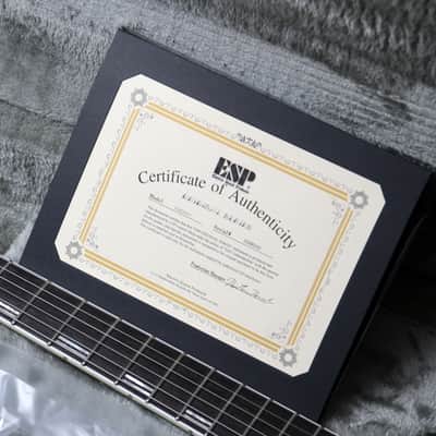 ESP MIJ Original Horizon 1 Limited Edition "Liquid Metal Silver + Ebony" (2025) image 3