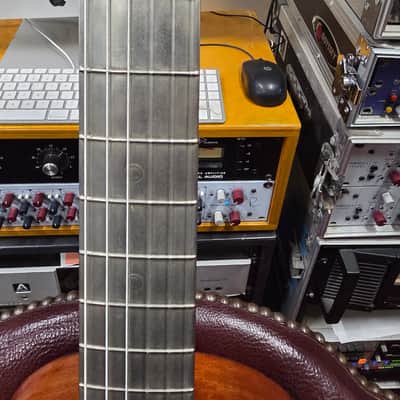 Wolfram The Triumph Metal Fret Board Slotted Headstock 12 Fret Parlor 1890s 1900s 1910s image 25