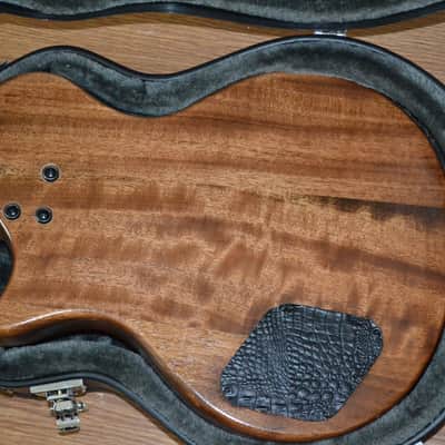 Jim Cat LP Style Black Gator w/Seymour Duncan Mark Holcomb Alpha/Omega Pickups and Upgraded Electronics image 5