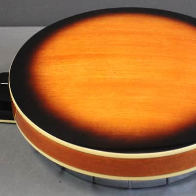 Epiphone Stagebird 6 String Electric Banjo image 8