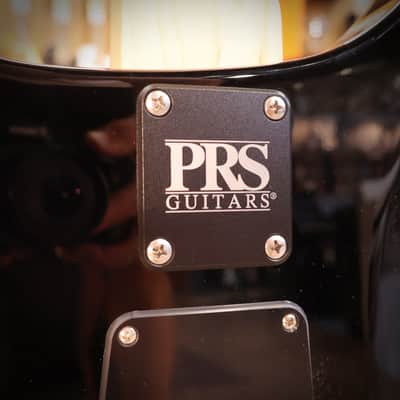 Immagine PRS CE24 Faded Gray Black - 10