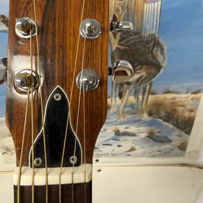 Ventura Bruno V-42 mid-1970's Natural Finish image 3