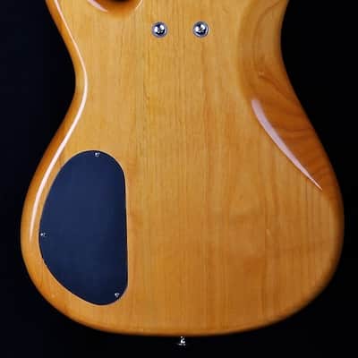 Alvarez Villain Series 5-String bass 1996 image 2