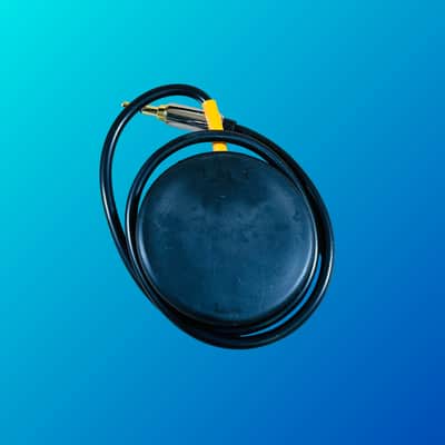 Rainger FX Igor Controller imagen 3