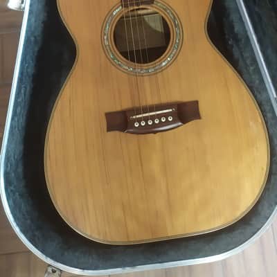 Maton Signature Ben Harper Lap Steel Natural image 1