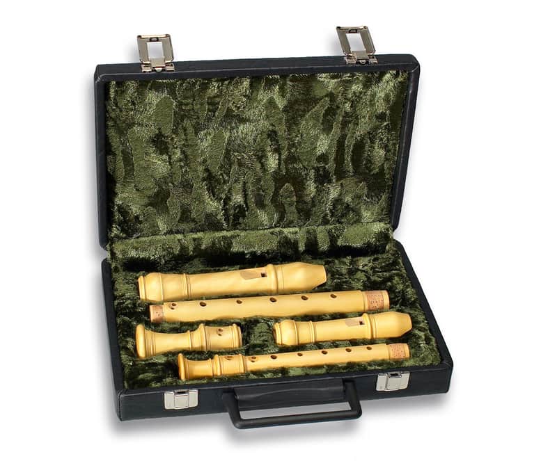 Mollenhauer 7200 Etui (Sopran/Alt) image 1