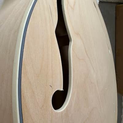 Single Cut Hollow Jazz Guitar Body DIY Project image 4