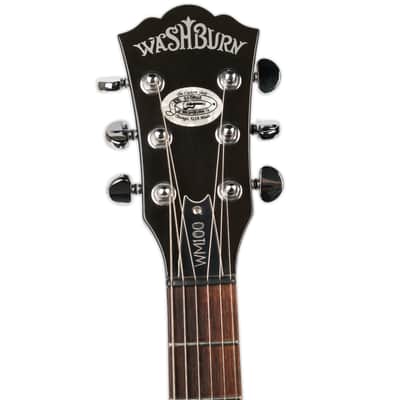 Washburn  WM100 image 5