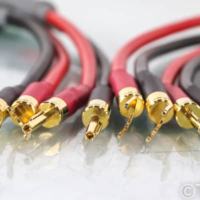 Shunyata Delta V1 Speaker Cables; 2.5m Pair image 5