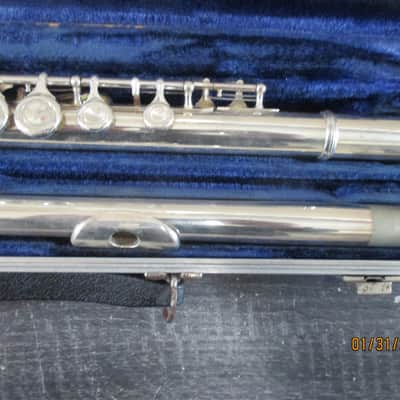 Borg brand Flute with case image 4