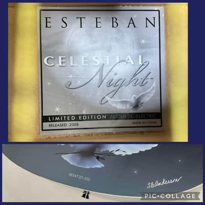 2008 Esteban Celestial Night Limited Edition Acoustic/Electric Guitar image 3