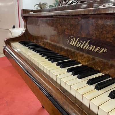 Bluthner PIANOFORTE A MEZZA CODA image 2