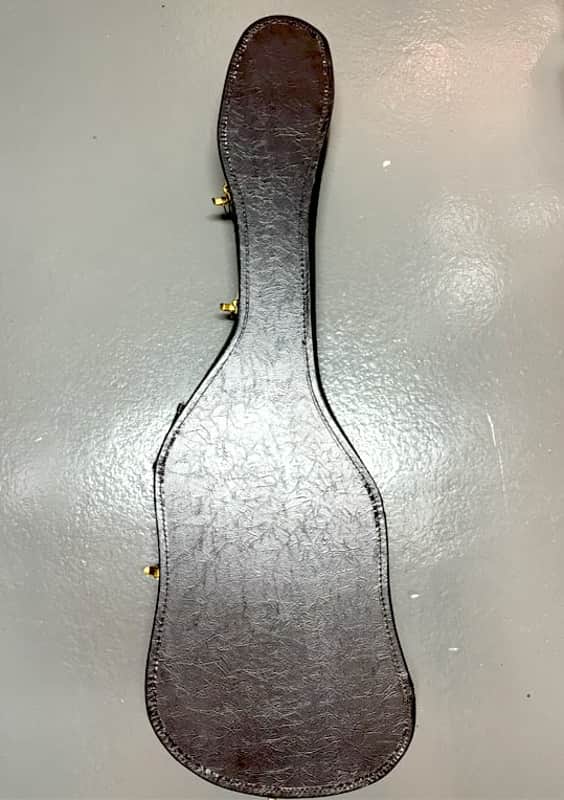Unbranded Bass Hard Case (Used) image 1
