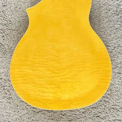 Gold Tone Mojo Round-neck Resonator Guitar with Pickup and Case image 10