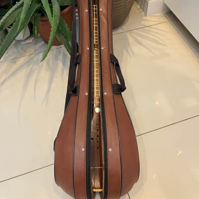 Vahid Manteghi Persian Setar (Intermediate) mid 2010s image 3