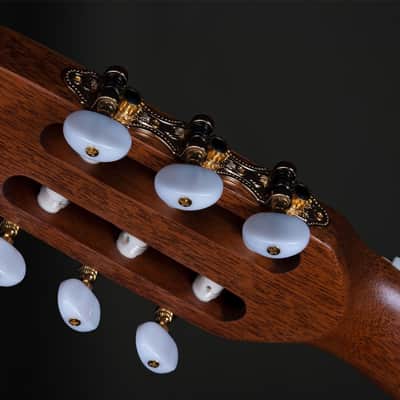Godin Etude Classical in Natural image 7