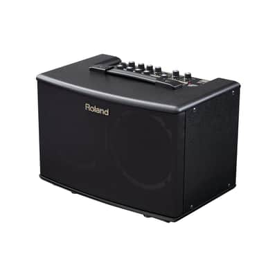 Roland AC-40 Acoustic Chorus 2-Channel 40-Watt 2x6.5" Acoustic Guitar Combo