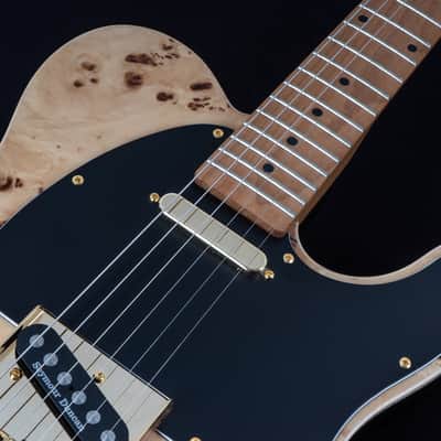 Michael Kelly MK50MNBMSN Mod Shop 50 Duncan Quilt Maple Top Swamp Ash Body Roasted Maple Neck 6-String Electric Guitar image 3