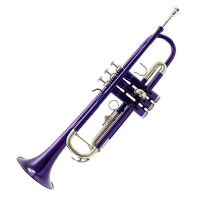 Sky Band Approved Purple Plated Bb Trumpet with Case, Cloth, Gloves and Valve Oil image 3