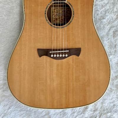 Tagima Canada Series Vancouver acoustic-electric guitar with hardshell case image 1