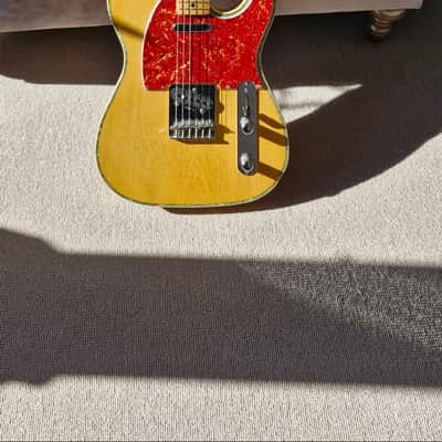 Tokai Breezysound TE80A image 6