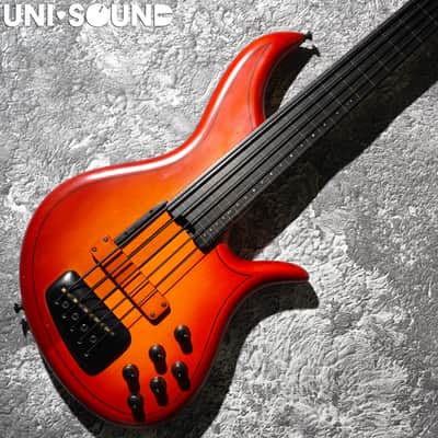 F Bass Alain Caron Signature AC-5 AC5 Fretless image 2