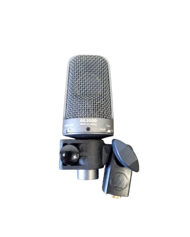 Audio-Technica AE3000