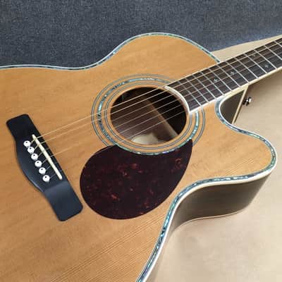 Greg Bennett OM-8CE Orchestra Cedar Top Rosewood Body Fishman