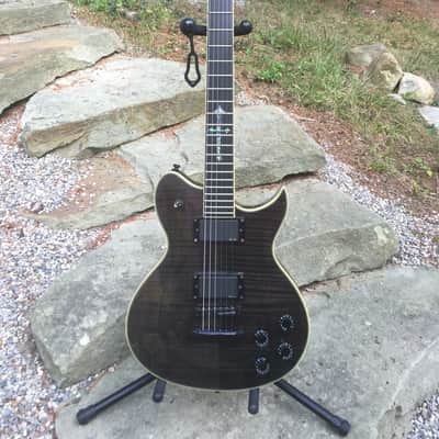 Washburn WI-66PROE Idol (Limited) Black & Gray image 1