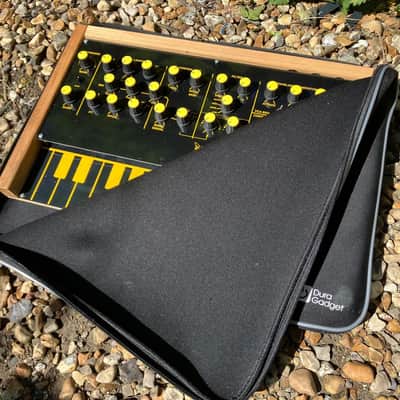Jasper Synth - EDP Wasp Clone - MIDI IN - Finished DIY Kit image 3