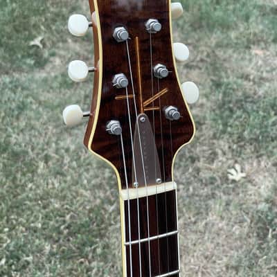 Jersey Girl Homemade Guitars - The first Audrey model ever made: "Audrey One" image 16