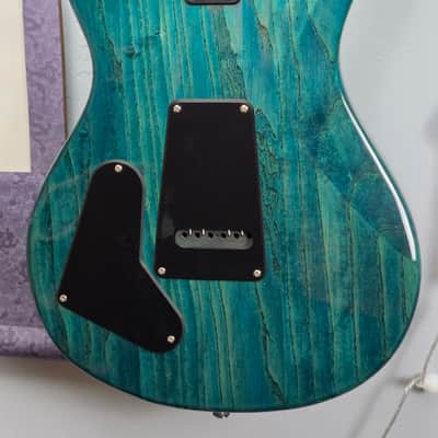 2024 PRS SE Swamp Ash Special - Iri Blue image 9