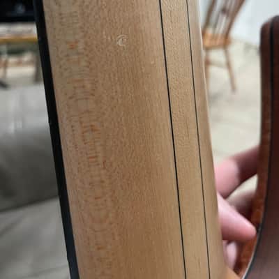 Swan Alpha Special Fanned Fret 2022 image 7